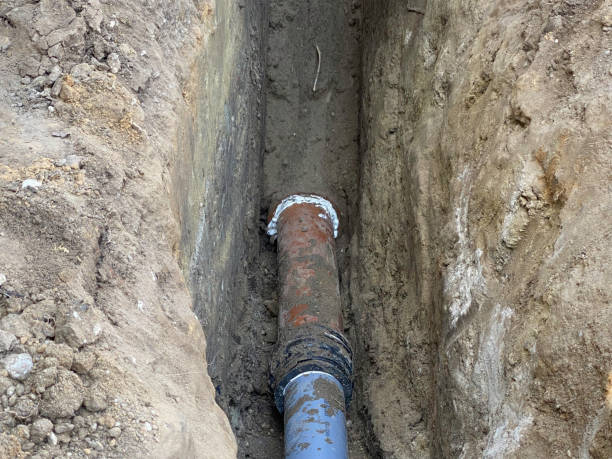 Best Flood damage cleanup  in Trumansburg, NY