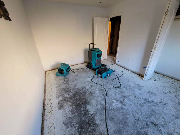 Best Ceiling water damage repair  in Trumansburg, NY