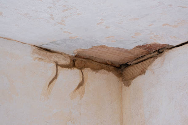 Best Commercial water damage restoration  in Trumansburg, NY
