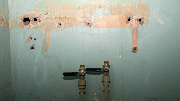 Carpet water damage restoration in Trumansburg, NY