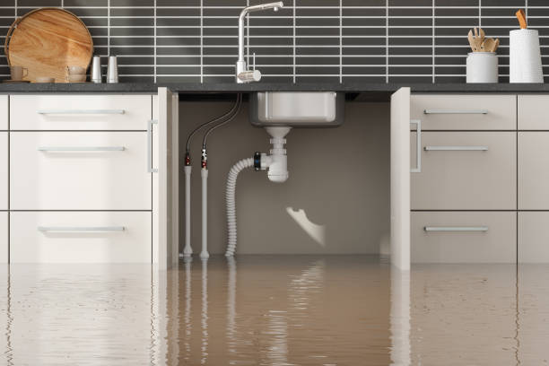 Best Flood restoration services  in Trumansburg, NY