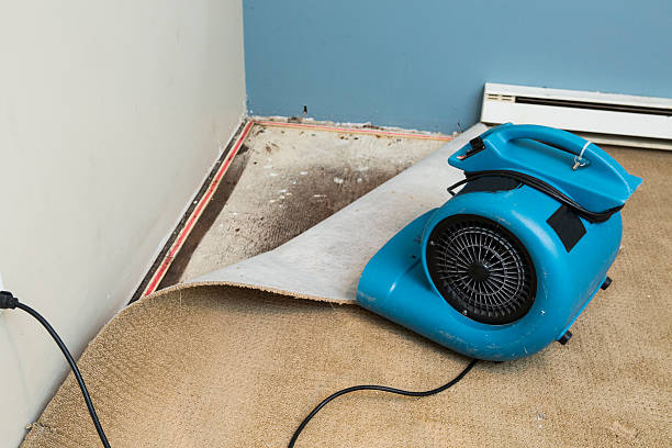 Best Flooded house restoration  in Trumansburg, NY